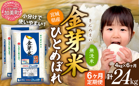 金芽米 定期便4kg×6回 金芽米
