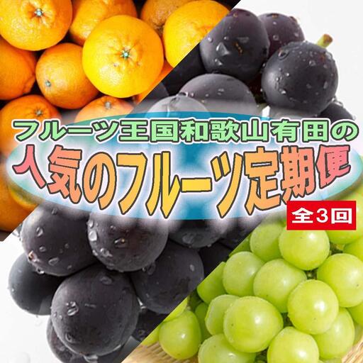 定期便全3回【3月・8月・9月発送】フルーツ王国和歌山の人気フルーツ定期便（不知火・たねなし巨峰・シャインマスカット）