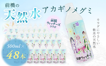 水 ミネラルウォーター 500ml 48本 ミネラルウォーター 水