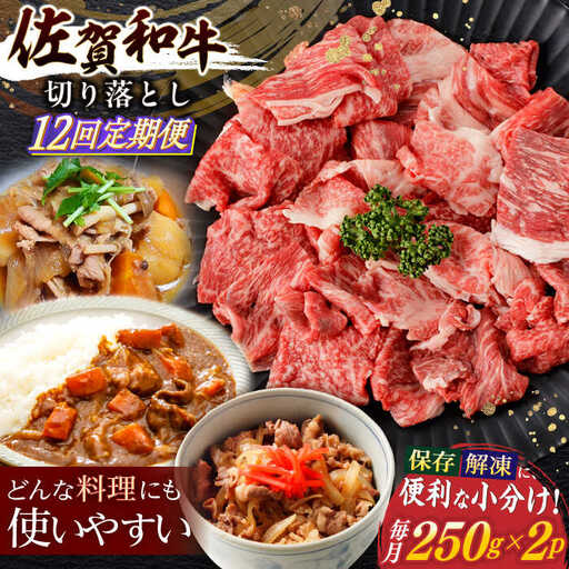 【定期便】牛肉切り落とし 計500g NAC164 牛肉 全12回