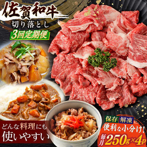 【定期便】牛肉切り落とし 計1kg NAC165 牛肉 全3回