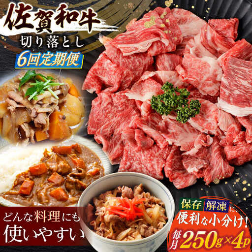 【定期便】牛肉切り落とし 計1kg NAC166 牛肉 全6回
