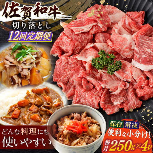 【定期便】牛肉切り落とし 計1kg NAC167 牛肉 全12回