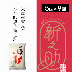 【令和7年産】 9ヶ月定期便 特別栽培米 新之助 5㎏（5kg×1袋）×9回 米杜氏 壱成 白米 精米 大粒 つや 光沢 弾力 芳醇 新潟県 米 こめ コメ 1H49163