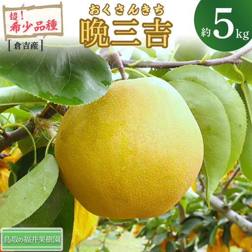 【期間限定】令和8年産 希少梨 晩三吉 5kg（5～12玉） 倉吉産 福井果樹園 梨 ブランド梨 冬梨 希少品種 果物 フルーツ 先行予約 和梨 数量限定