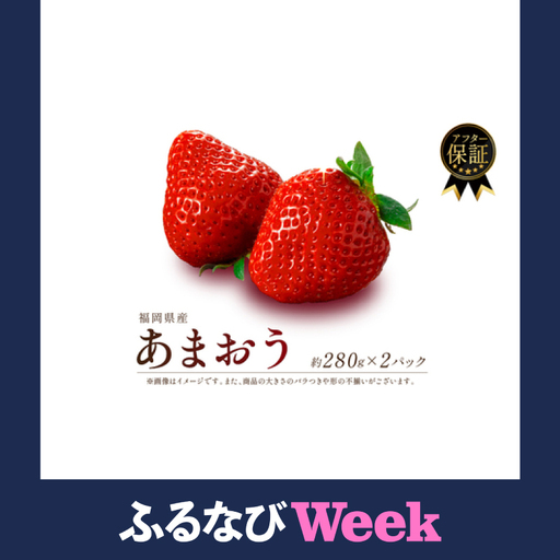 【ふるなびWEEK対象】 【1-2月発送】いちご 560g | いちご SEM