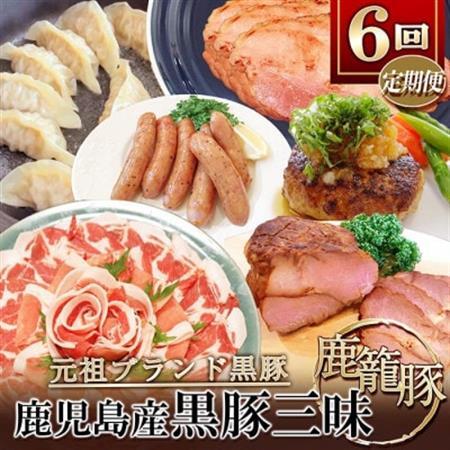 【発送月固定定期便】鹿児島県産黒豚三昧Bセット GG5-0001全6回_肉 ハム 豚肉   肉 しゃぶしゃぶ 牛肉 牛しゃぶ  肉  牛肉   肉 しゃぶしゃぶ 豚肉 豚しゃぶ  肉 ハンバーグ 豚肉   肉 ソーセージ・ウインナー 豚肉   肉  豚肉   惣菜・加工品 餃子  ぎょうざ ギョウザ  定期便 定期便  _【配送不可地域：離島】【4057557】