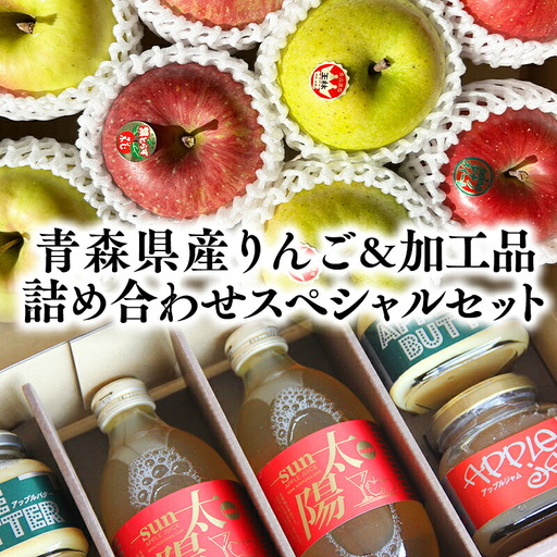 青森県産りんご&りんご加工品詰め合わせセット[hi-0053-007]