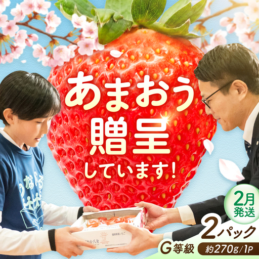 【2月発送】あまおうG等級 1ケース（約270g×2パック）[AFAB097]