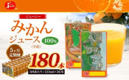 ＜ R8年熊本地震復興支援 ＞【5回定期便】 ジューシー みかんジュース 100％ （学給） 125ml×36本 みかん ミカン 蜜柑 ジュース オレンジジュース 飲料 紙パック 国産 熊本県
