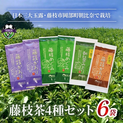 お茶  4種 6袋 セット 緑茶 煎茶 紅茶 玉露 茶 茶
