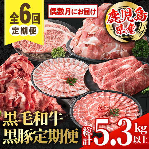 [定期便・計6回(偶数月)] 鹿児島県産 黒毛和牛 黒豚 定期便 総計 約5.3kg 以上 [スターゼン]