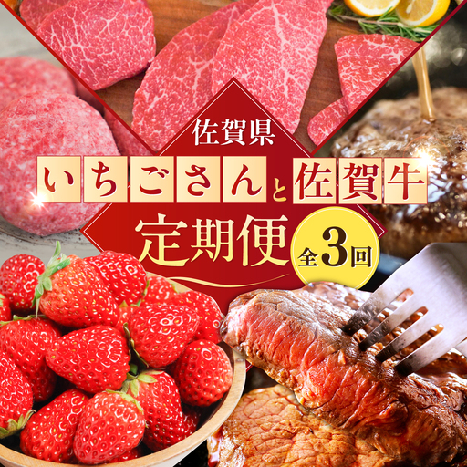 【2027年発送分 先行予約】【全3回定期便】いちごさんと佐賀牛定期便 / ステーキ ハンバーグ いちごさん / 佐賀県ふるさと納税 [41AAZZ011]