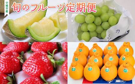 先行予約 [2027年発送分][定期便4回(2月・4月・6月・8月)]宇城市産 旬のフルーツ定期便 サンサンうきっ子宇城彩館