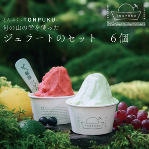 TONPUKU(とんぷく) ジェラートセット 6個