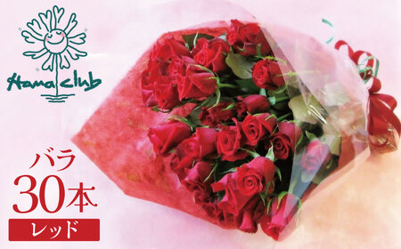 【ラッピング付】生花 レッド バラの花束 30本 日付指定可能 赤 薔薇 ローズ ギフト プレゼント ラッピング インテリア お花 フラワー H193-017