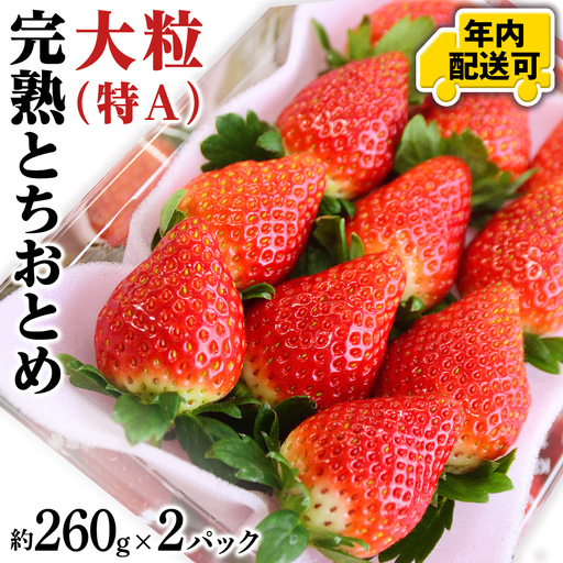 【12/10までの申込で年内にお届け！】完熟 とちおとめ 約260g×2パック 年内お届け 国産 いちご イチゴ 苺 果物 フルーツ 茨城県産 KEK[BC079sa]