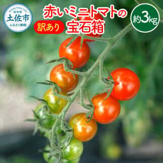 【訳あり】【先行予約】訳あり 赤いミニトマトの宝石箱 約3kg / たっぷり楽しむ食べ比べセット〈2026年11月下旬から2027年5月下旬まで〉高知県 土佐市【ファーム輝】 [BQBM011]