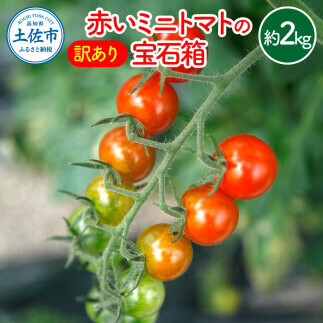 【訳あり】【先行予約】訳あり 赤いミニトマトの宝石箱 約2kg / 家族・大切な方と楽しむ食べ比べセット〈2026年11月下旬から2027年5月下旬まで〉高知県 土佐市【ファーム輝】 [BQBM010]