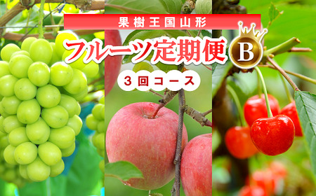 [令和9年産先行予約] [定期便3回] 果樹王国山形 南陽のフルーツ定期便B 『マルエ青果』 果物 くだもの フルーツ 山形県 南陽市 [1494-R9]