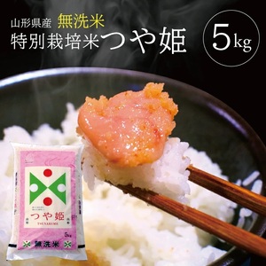 令和7年産[無洗米]特別栽培米 つや姫 5kg×1袋 TO
