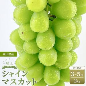 【2026年9月以降発送】岡山県産 シャインマスカット 晴王 約2kg（3～5房）  ハレノフルーツ ｜ シャインマスカット