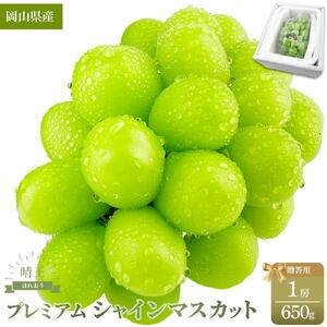 プレミアム シャインマスカット 晴王 １房 約650g ｜ シャインマスカット