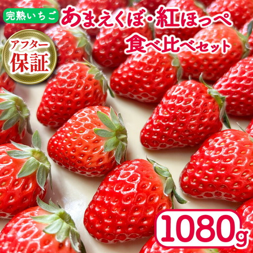 【 いちご 】 いちご 270g×4パック 紅ほっぺ あまえくぼ 食べ比べ