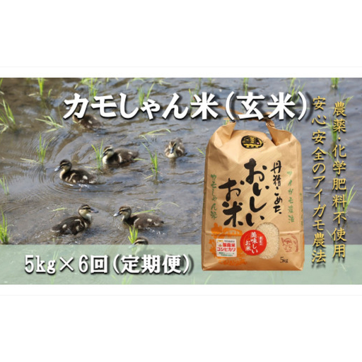 【6回定期便】令和7年度産コシヒカリ 「カモしゃん米」（玄米）5kg 【こしひかり お米 農家直送 無農薬 化学肥料不使用 玄米 安心 安全 令和6年度産】