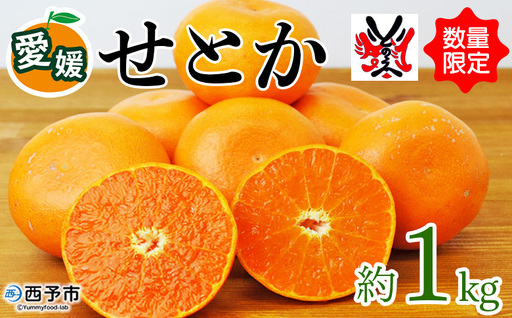 先行予約 数量限定＜愛媛西予市産 せとか 約1kg＞ 果物 くだもの フルーツ 柑橘類 ミカン みかん 甘い 特産品 糖度 家庭用 自宅用 産地直送 渡江から一歩を踏み出す会 食べて応援 愛媛県 西予市 【常温】『2026年3月上旬～4月中旬順次発送予定』ATI0032
