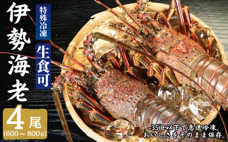 【 伊勢海老 】 冷凍伊勢海老 4尾 