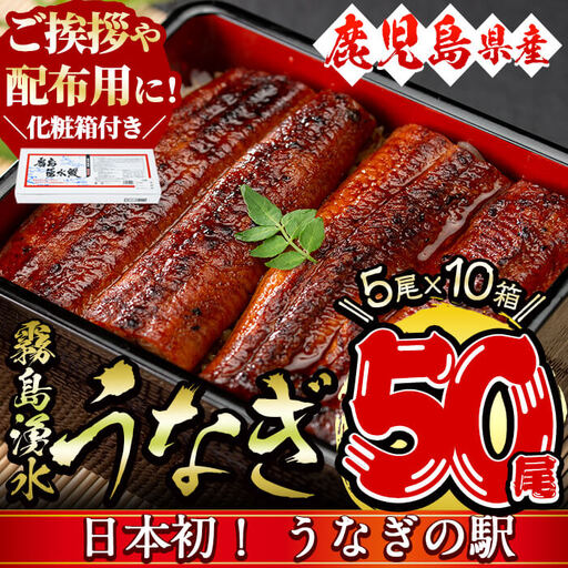 【数量限定】【化粧箱10箱】ご挨拶・配布用にも！鹿児島県産 山田水産の霧島湧水鰻＜計50尾(5尾×10箱)/計8kg(1尾あたり160g)＞ wc5-002-yy
