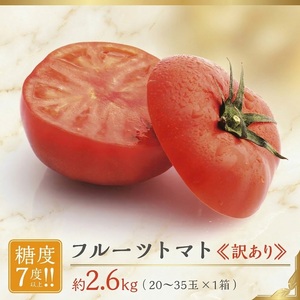 [ 訳あり ]トマト フルーツトマト 大箱 約2.6kg × 1箱 [大玉 20〜35玉/1箱] 2027年産 とまと