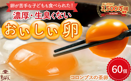 卵が苦手な子どもも食べられた！生臭くないおいしい卵 （10個入×6P） たまご 卵 玉子 鶏卵 生卵 生たまご ／Gbn-A59