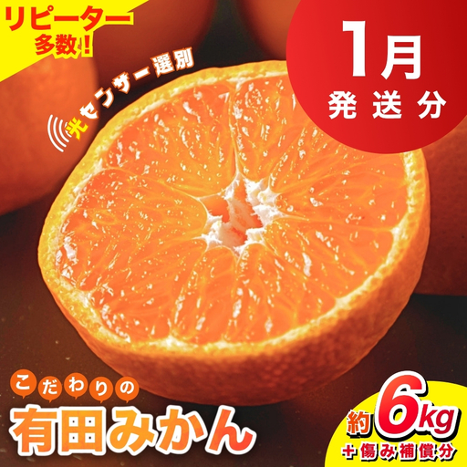 【2027年1月発送予約分】＼光センサー選別／ 【農家直送】【家庭用】こだわりの有田みかん 約6kg＋250g(傷み補償分) 先行予約 有機質肥料100% サイズ混合 【1月発送】みかん ミカン 有田みかん 温州みかん 柑橘 有田 和歌山 ※北海道・沖縄・離島配送不可 【nuk102-01A】