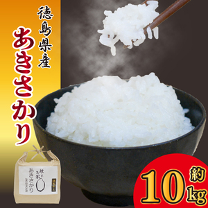 お米 あきさかり 10kg 令和8年産 米 こめ