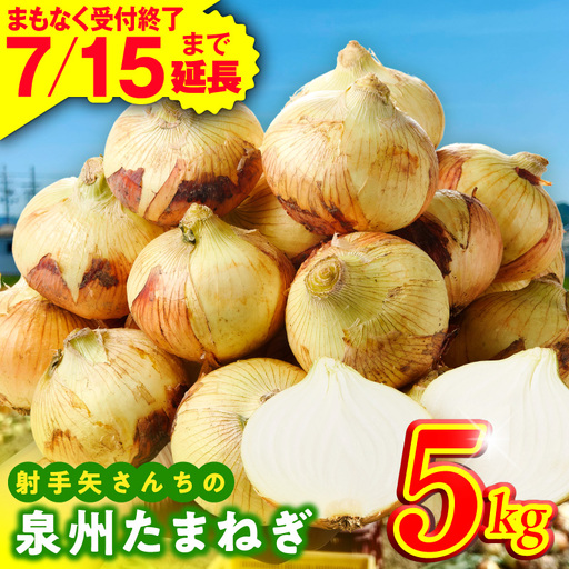 射手矢さんちの泉州たまねぎ 5kg