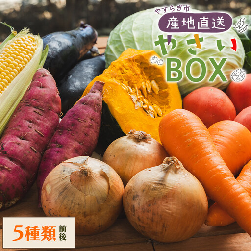 野菜 5種類前後【野菜 野菜 野菜 野菜 野菜 野菜 野菜】 yr-0027