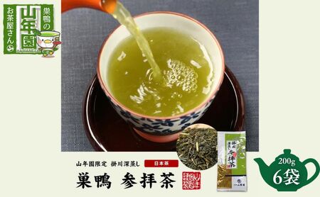 緑茶 掛川深蒸し茶 巣鴨参拝茶 煎茶 日本茶 緑茶[200g×6袋]