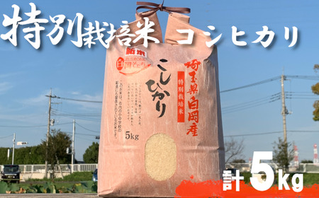 [令和7年産]特別栽培米 コシヒカリ 5kg [11246-0108]