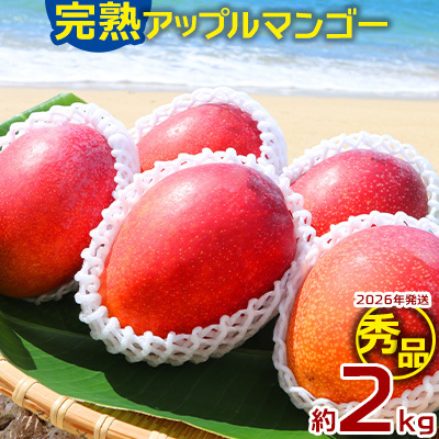 マンゴー【2026年発送】完熟アップルマンゴー秀品・約2kg