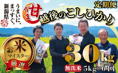 無洗米 定期便 甘うま 無洗米 こしひかり 無洗米 5kg 6ヶ月 無洗米 米 お米 精米 無洗米 こしひかり 新潟県 新発田市 toushin00701