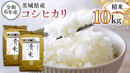 令和6年産 茨城県産 精米 コシヒカリ 10kg （5kg×2袋） 白米 清米 キヨシマイ こしひかり 米 コメ こめ 単一米 限定 茨城県産 国産 美味しい お米 おこめ おコメ