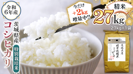 【2kg増量中】 令和6年産 茨城県産 精米 特別栽培米 コシヒカリ 27kg （27kg×1袋） 通常25kgのところ2kg増量中！ 白米 こしひかり 米 コメ こめ 単一米 限定 茨城県産 国産 美味しい お米 おこめ おコメ