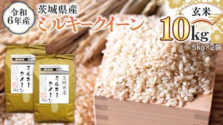 令和6年産 茨城県産 玄米 ミルキークイーン 10kg （5kg×2袋） 米 コメ こめ 単一米 限定 茨城県産 国産 美味しい お米 おこめ おコメ