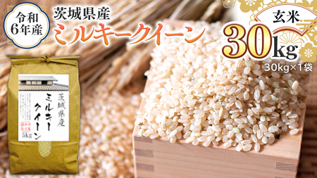 令和6年産 茨城県産 玄米 ミルキークイーン 30kg （30kg×1袋） 米 コメ こめ 単一米 限定 茨城県産 国産 美味しい お米 おこめ おコメ