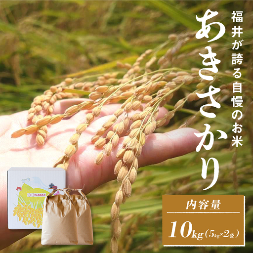 令和7年産  あきさかり　通常便（1回配送）計10kg（5kg×2袋）