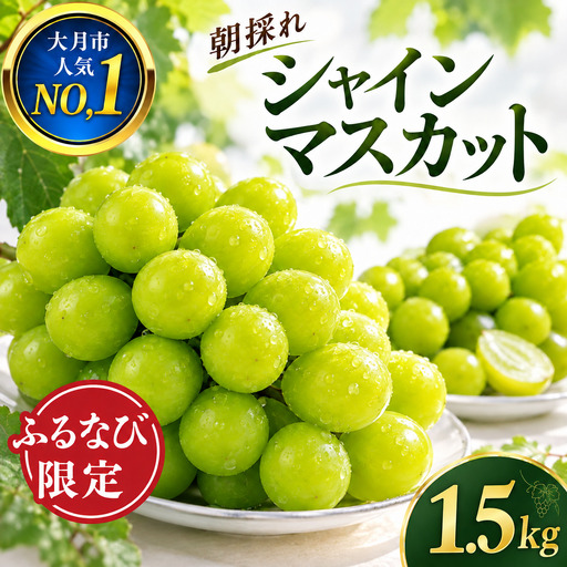 シャインマスカット 約1.5kg 訳あり 2027年発送 シャインマスカット フルーツ FN-Limited-SP