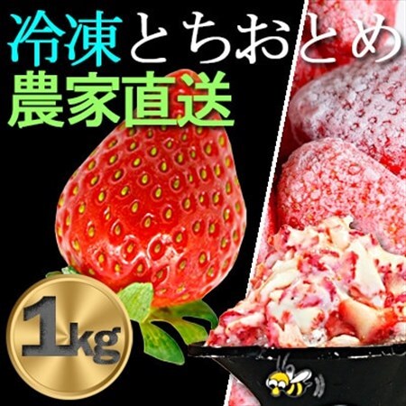 産地直送だから苺本来の美味しさ!BELL FARMの冷凍 いちご1kg 収穫当日冷凍の苺1kg_冷凍 いちご 苺 BELLFARM 産地直送_[配送不可地域:離島]