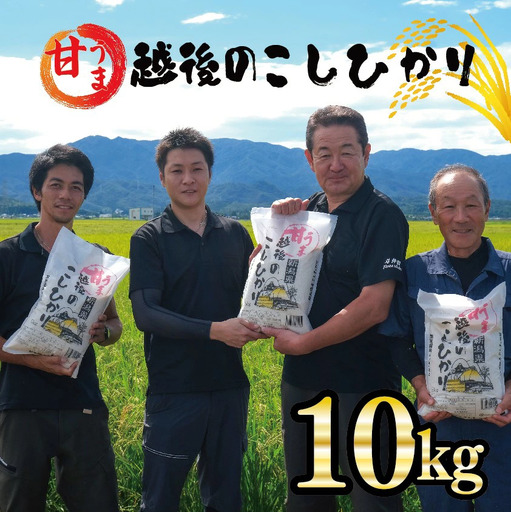 新潟産 コシヒカリ 10kg 令和7年産 甘うま越後のこしひかり コシヒカリ 白米 toushin014_04